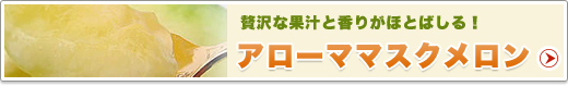 こちらもお中元にもお勧め。静岡産マスクメロン商品一覧はこちらから