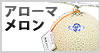 静岡マスクメロン