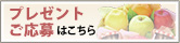 プレゼントご応募はこちら