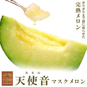 Photo_2
