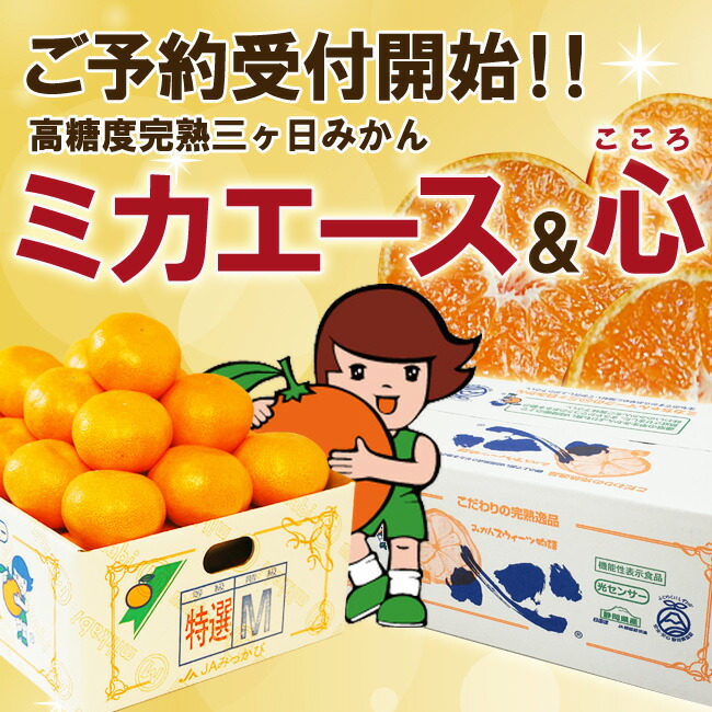 オンラインショップ】三ヶ日みかん情報(11月28日号)糖度12度ミカエース