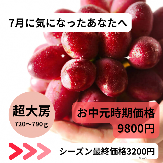 【店舗情報】7月に気になったあなたへ