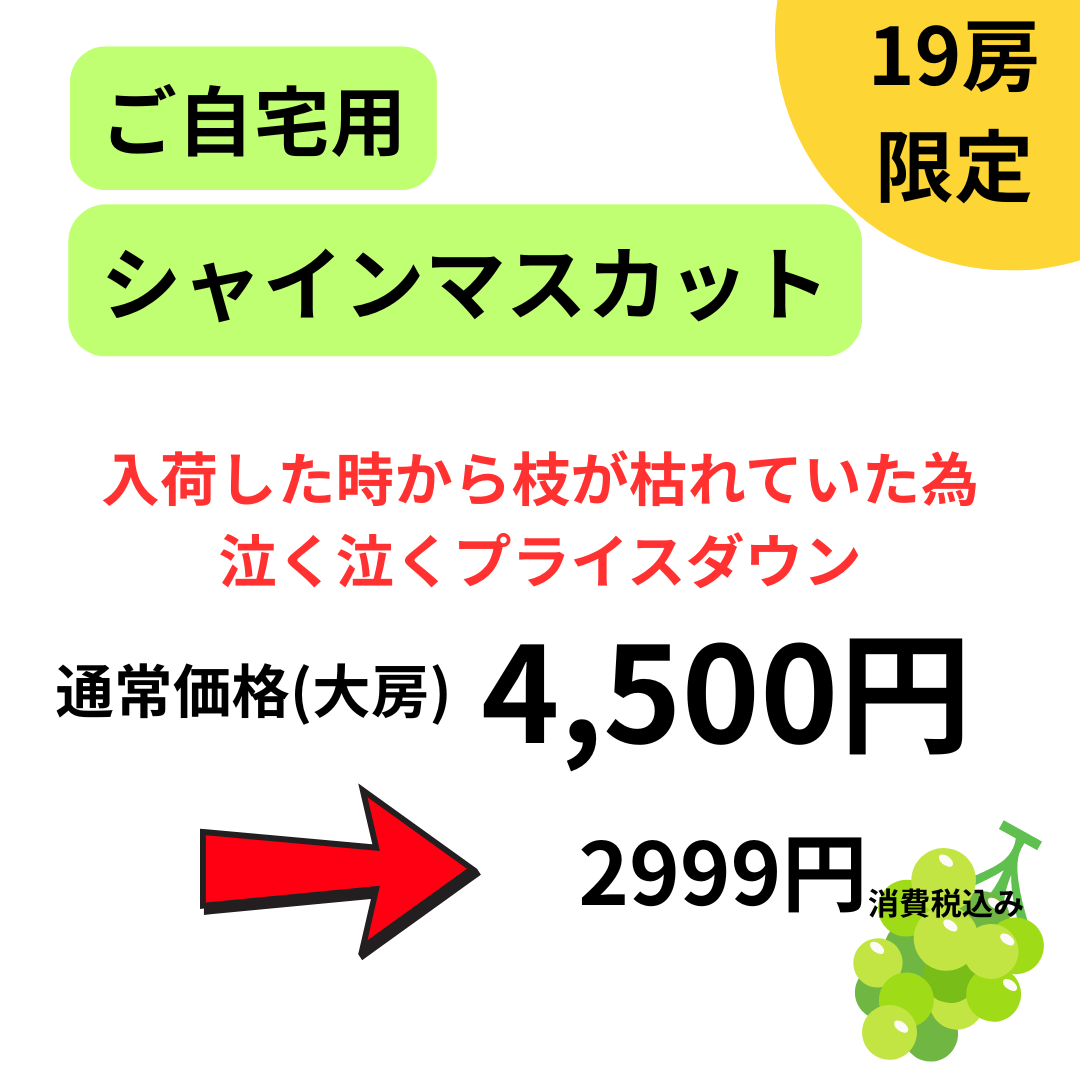 【店舗情報】限定19房☆徳用シャインマスカット