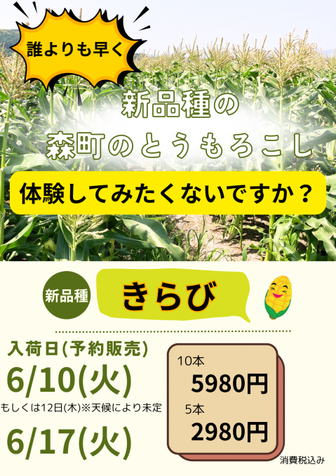【店舗情報】消えた甘々娘、そのワケは？
