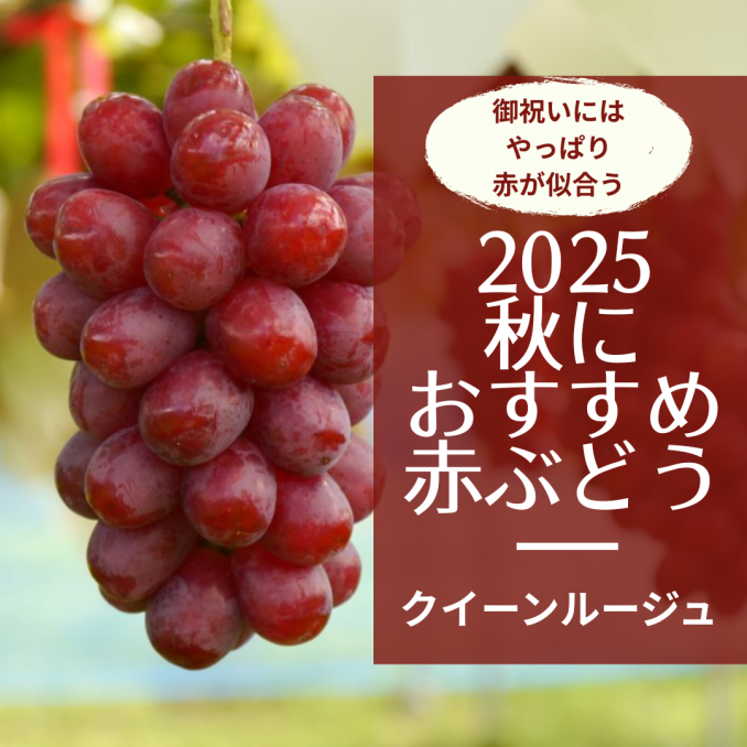 御祝いにはやっぱり赤が似合う