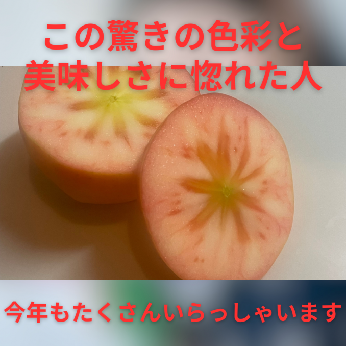 【店舗情報】今年も増え続けています