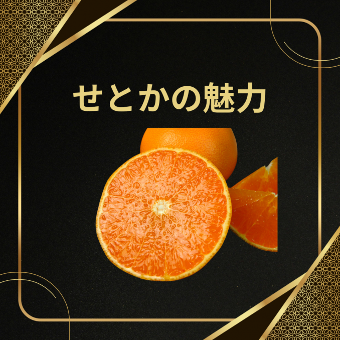 【店舗情報】せとかの魅力