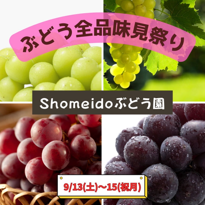 【店舗情報】気になってたあのぶどう・このぶどう全部味見してください