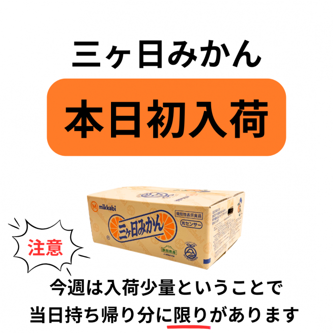 【店舗情報】三ケ日みかん本日入荷スタート