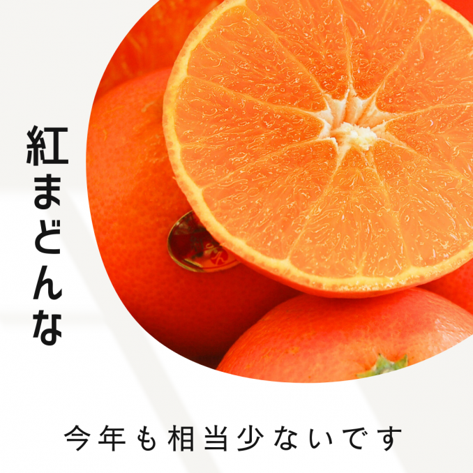 【店舗情報】出会えたらラッキーかも!?