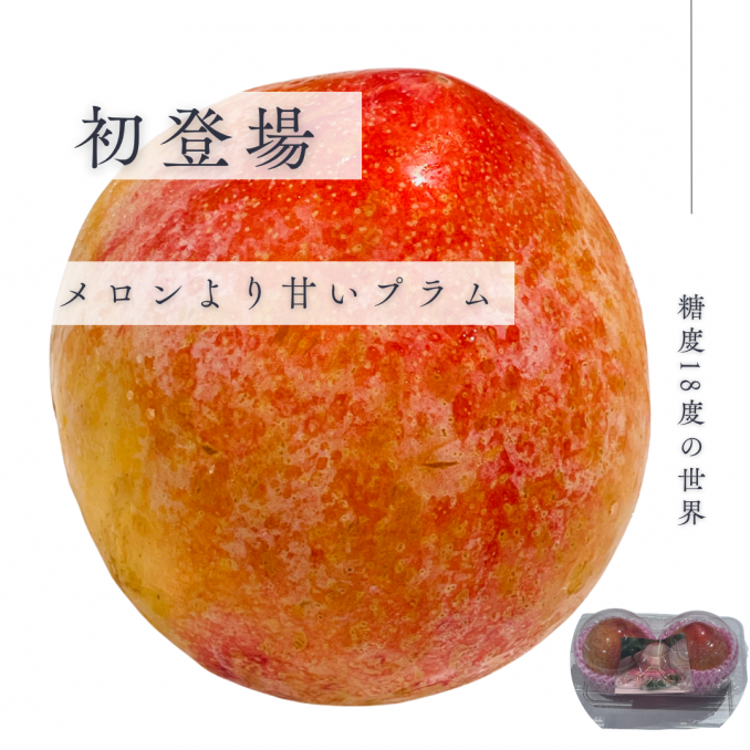 【店舗情報】超特大！メロンよりも甘いプラム