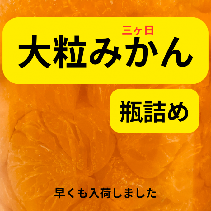 【店舗情報】早くも入荷！大粒みかんの瓶詰