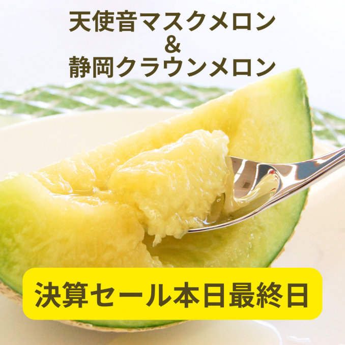 【店舗情報】明日から通常価格に戻ります