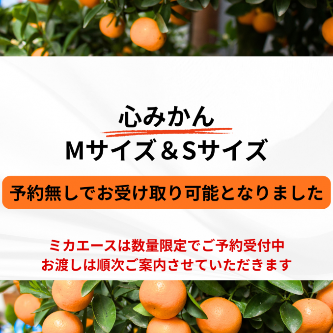 【店舗情報】心みかん　予約無しでお渡し可能となりました