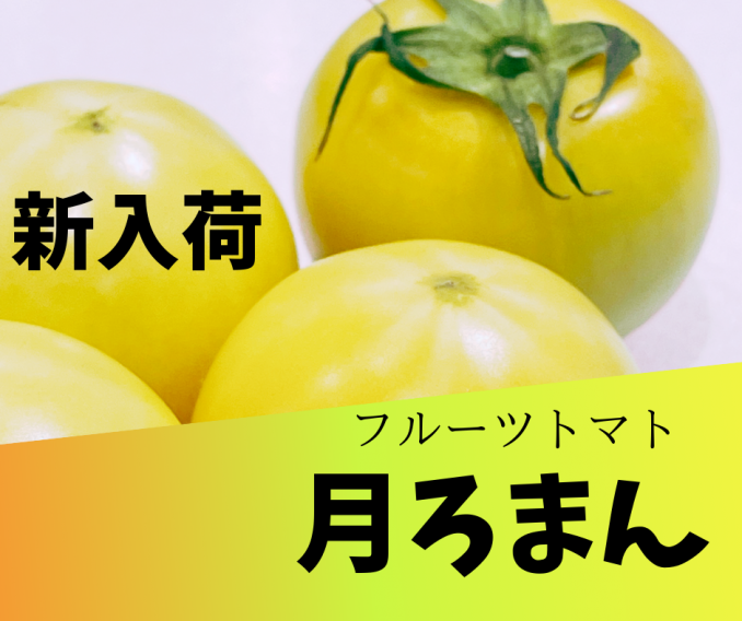 【新入荷】日本でこの人しか作れないトマト