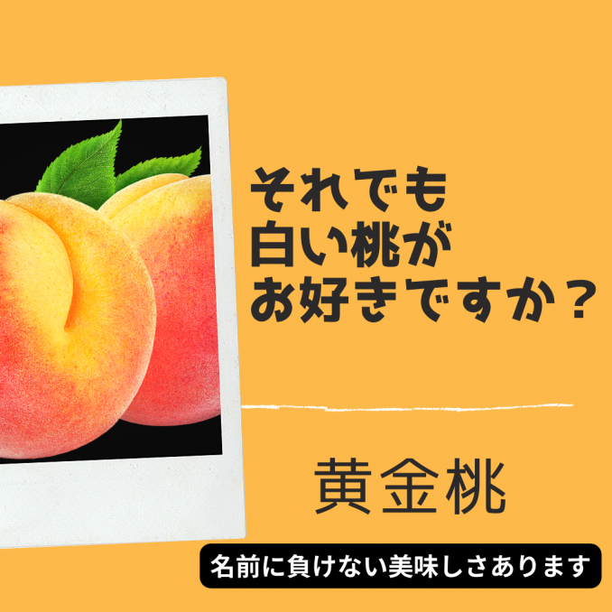 【店舗情報】それでも白い桃がお好きですか？