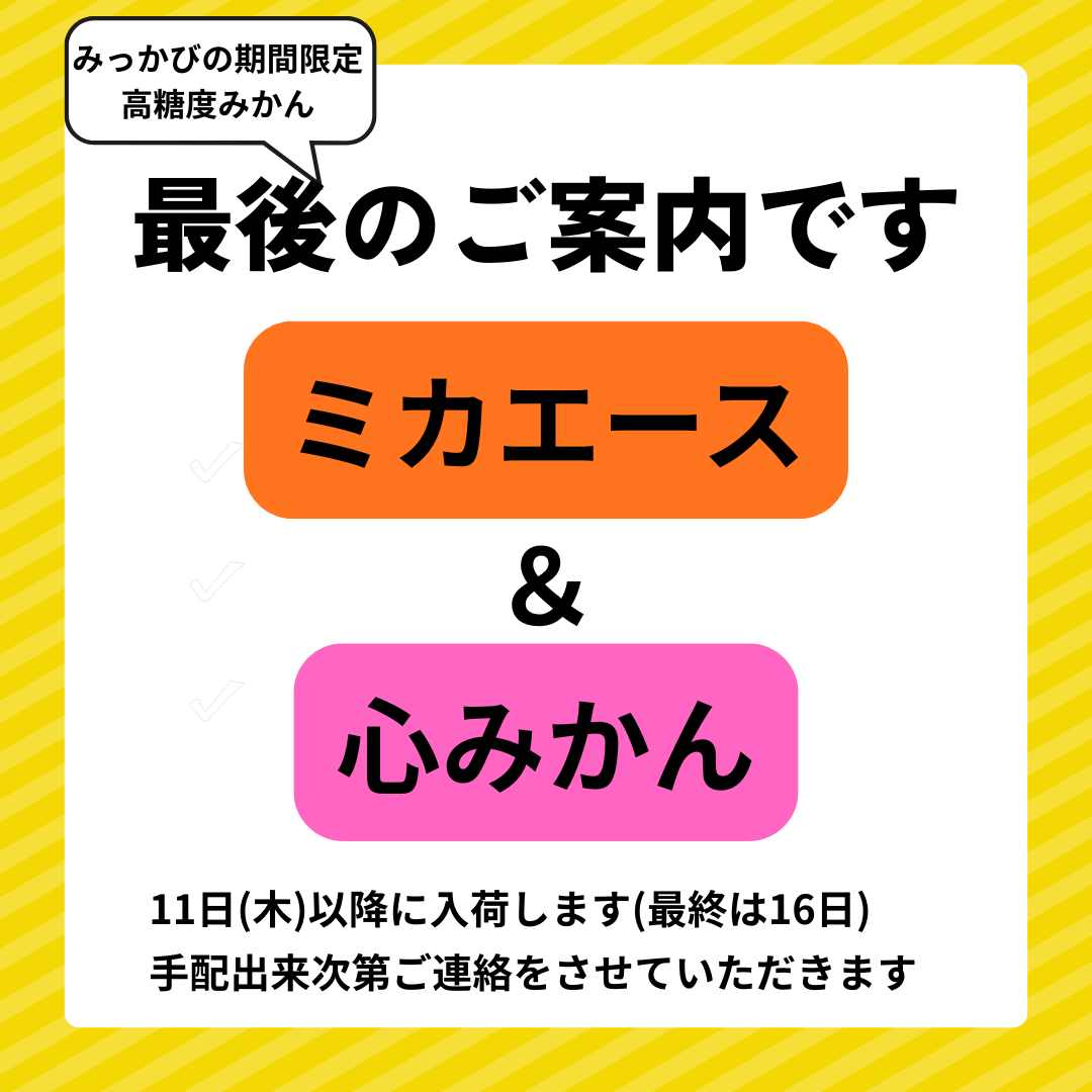 【店舗情報】最後のご案内です