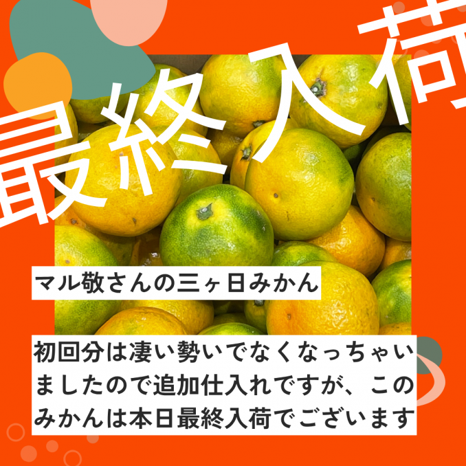 ごめんなさい!2回目仕入れですが最終入荷です