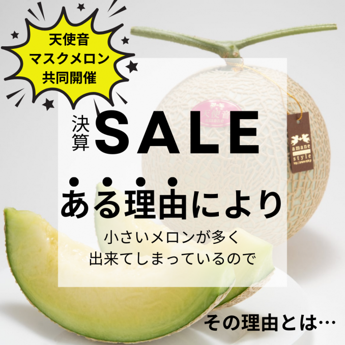 【店舗情報】ある理由により大きなメロンが出来にくい事態に…