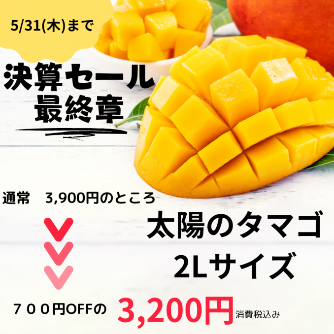 母の日一番人気が７００円off