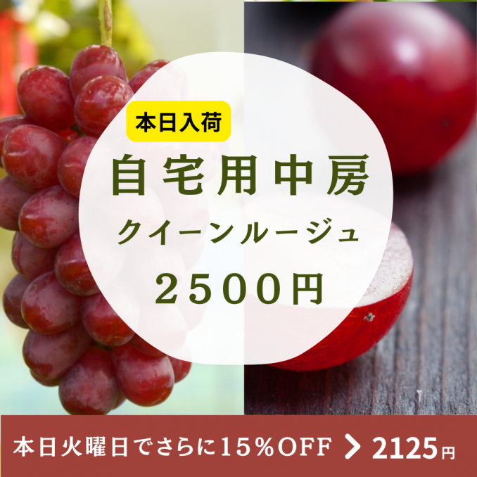 【店舗情報】自宅用中房入荷！これなら自宅用に♪