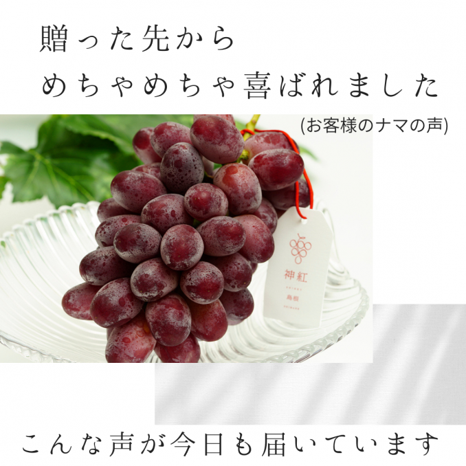 【店舗情報】え？何このぶどう？すっごい美味しいんだけど！