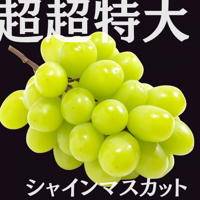 限定12房☆超超特大マスカット