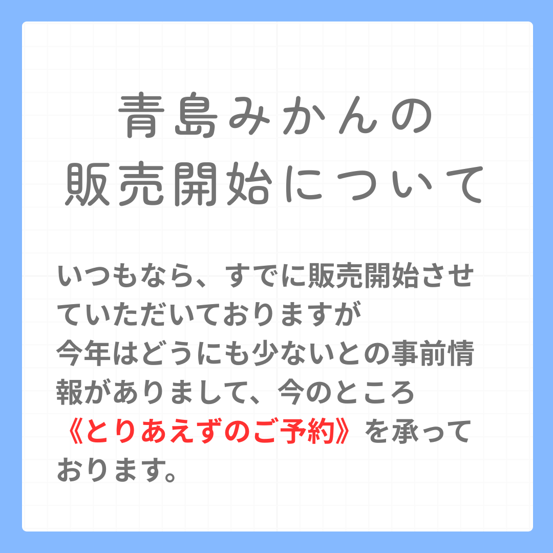 【店舗情報】青島みかんの販売開始について