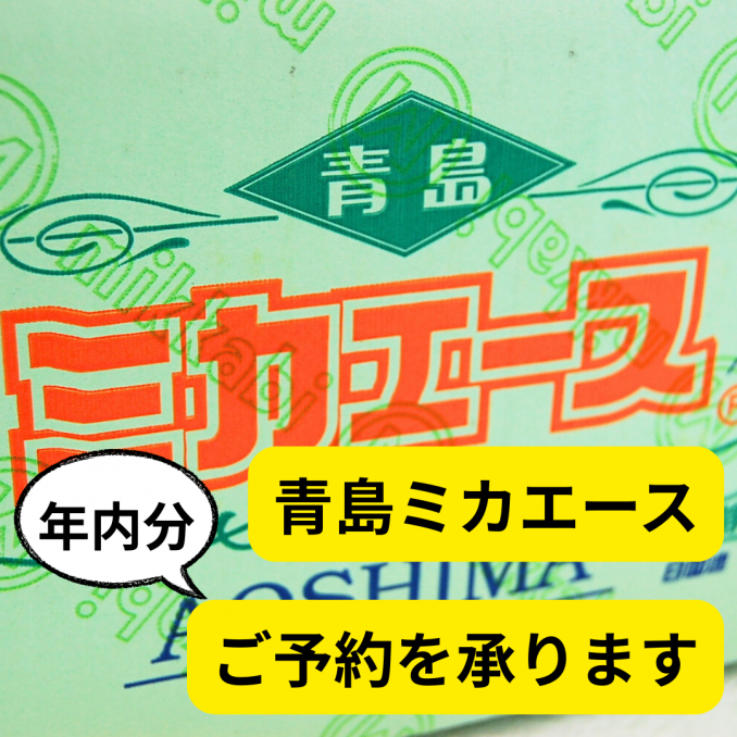 【店舗情報】《青島ミカエース》年内1回きりの入荷