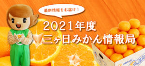 2021年度の三ヶ日みかんの最新情報をお伝えします！