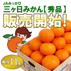 2021年三ヶ日早生みかん販売開始