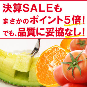 決算セールもポイント5倍