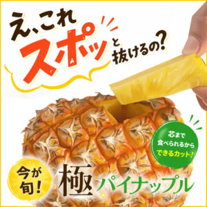 【オンラインショップ】明日限定5％OFFCPあり★一玉はハードル高い…「でも、これならできそう！」と思えるカットを伝授します！