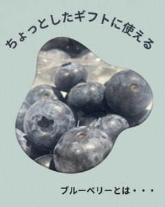 【店舗情報】これってぶどうですか？いいえ、それは・・