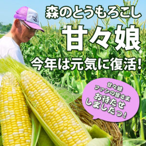 森のとうもろこし　甘々娘