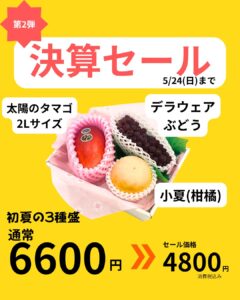 【店舗情報】決算セール第2弾スタート