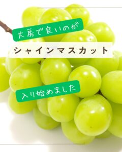 【店舗情報】大きくて良いのが入り始めました