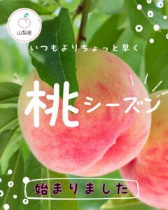 【店舗情報】いつもよりちょっと早く始まりました！
