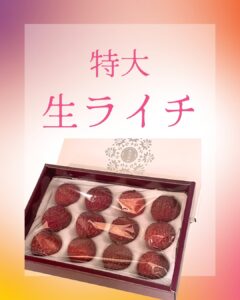 【店舗情報】最終入荷だからお得！特大ライチ