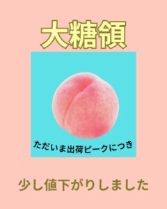 【店舗情報】出荷ピークにつき少しお値下げ