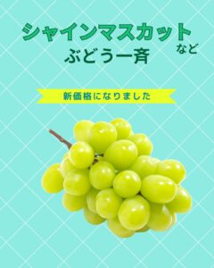 【店舗情報】ぶどう一斉新価格になりました