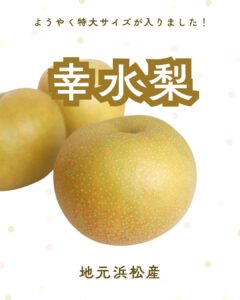 【店舗情報】地元産幸水梨の特大ぞくぞく入荷中
