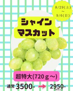 【店舗情報】9/6までの期間限定☆超特大のみオフプライス