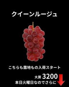 【店舗情報】露地もの入荷でドンとお値下げ