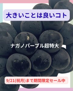 【店舗情報】大きいことは良いコト