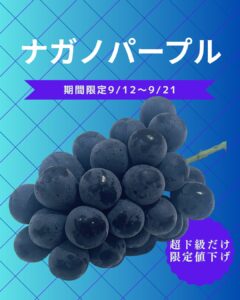 【店舗情報】超ド級だけ9/21まで限定値下げ