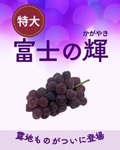 【店舗情報】あの希少ぶどう、露地もの入荷始まりました
