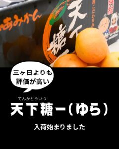 【店舗情報】天下糖一のゆら始まりました