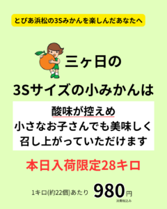 【店舗情報】三ヶ日の小みかんは酸味が控えめ